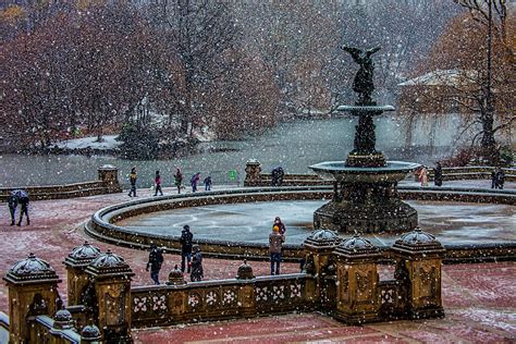 Central Park Snow Storm Photograph by Chris Lord