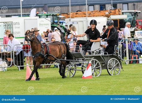 Driving Competition Horse Drawn Carriage Editorial Stock Image - Image of driving, competition ...