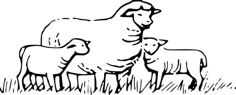 Sheep black and white black and white sheep clipart 3 - WikiClipArt