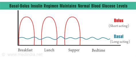 Optimal Management of Basal-bolus Insulin Regimen