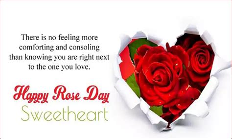 50+ Amazing Rose Day Wishes for Friends 2024 - QuotesProject.Com