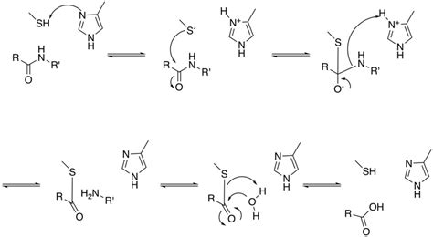 Cysteine Protease Inhibitors | Cambridge MedChem Consulting