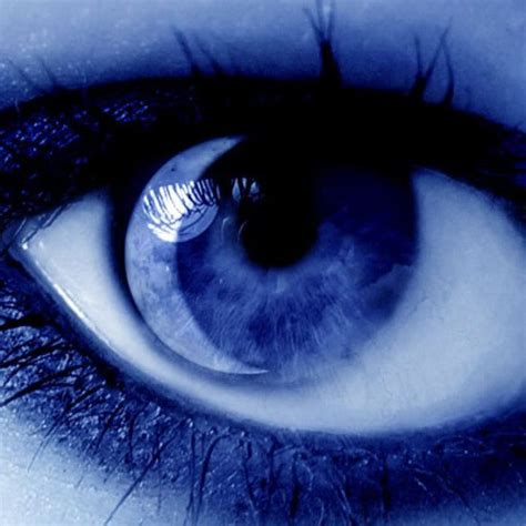 indigo eye | Indigo eyes, Feeling blue, Beautiful eyes