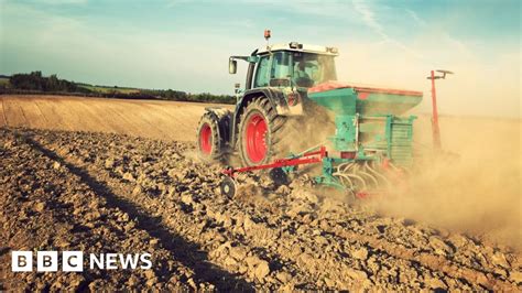 How the plough made the modern economy possible - BBC News