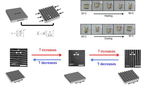 Liquid Crystal Elastomers | Verduzco Laboratory