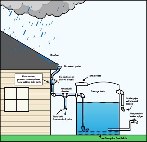 Mosquito Control for Rainwater Harvesting Systems | NC State Extension Publications