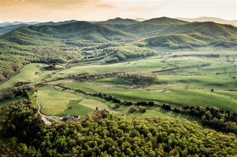 Pippin Hill Farm & Winery | Bushman Dreyfus Architects