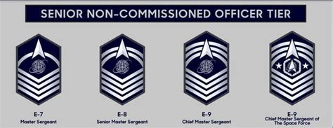 Space Force Enlisted Ranks | Military.com