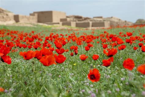 Weather and Climate in Turkmenistan