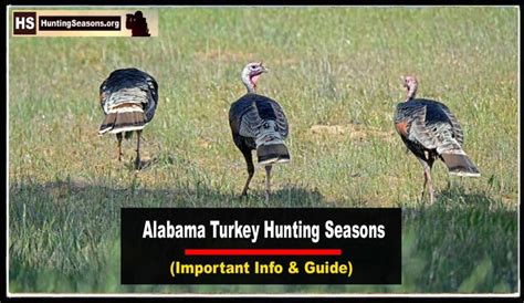 Alabama Turkey Hunting Season 2023 [Latest Update!] - HuntingSeasons.Org