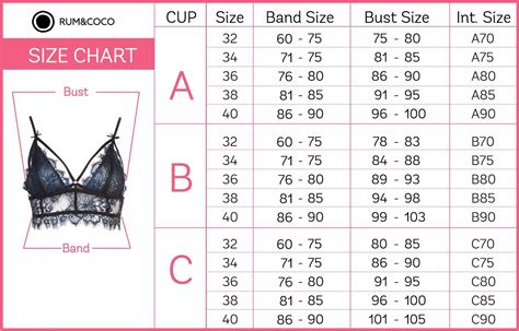 Bra Cup Size Chart Number