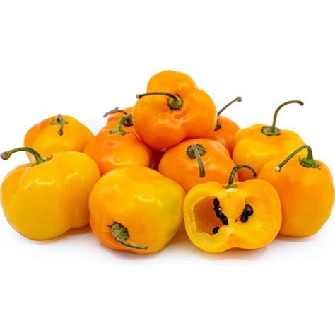 Rocoto Manzano Seeds - Price €1.55