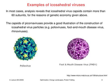 PPT - V8: Virus Structure and Assembly PowerPoint Presentation, free ...