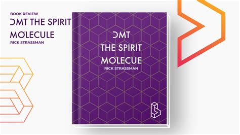 DMT: The Spirit Molecule - Review