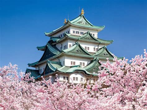 15 Cherry Blossom Spots in Nagoya and Aichi - Nagoya is not boring