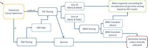 Diagnosing Lynch Syndrome – Irish Medical Journal