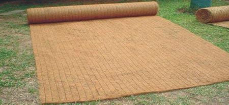 Erosion Control Netting Blanket | Geo Blankets for Stabilization