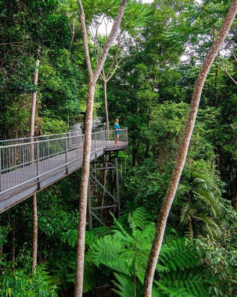 Exploring Mamu Tropical Skywalk - Sarah Adventuring | Travel Blog