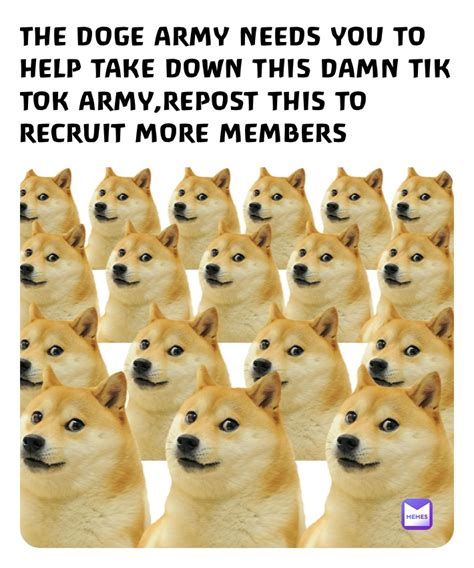 THE DOGE ARMY NEEDS YOU TO HELP TAKE DOWN THIS DAMN TIK TOK ARMY,REPOST ...