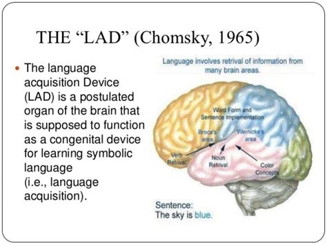 Language Acquisition Theories, Amy Royuk timeline | Timetoast timelines