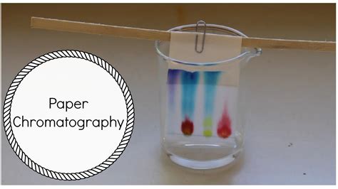 Simple Paper Chromatography Experiment.#filmora#dpshowrah#ScienceMela ...