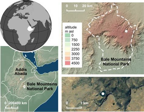 Map of the study area (Bale Mountains National Park) situated east of ...