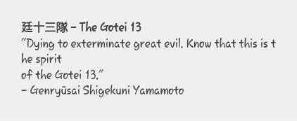 gotei 13 | Wiki | Anime Amino