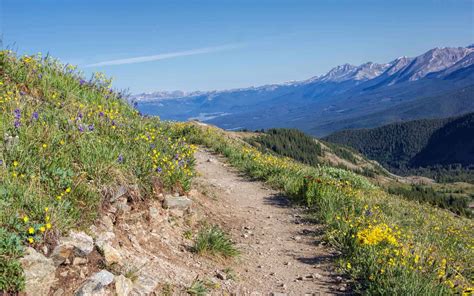 Cottonwood Pass Skyline Hike, Cottonwood Pass CO – My Buzz About