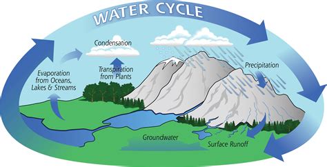 Water Cycle Printable Free With The Aid Of Our Water Cycle Worksheets ...