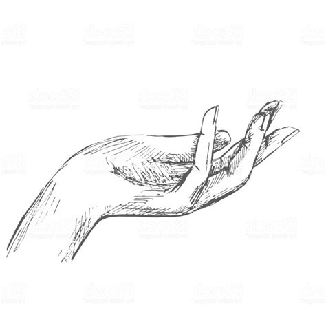 Open Palm Hand Drawing at PaintingValley.com | Explore collection of Open Palm Hand Drawing