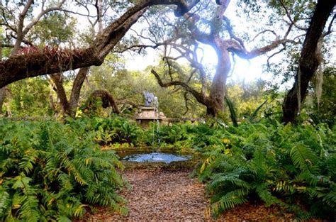 Vizcaya Museum and Gardens: Discovering the Jewel of Miami