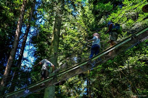 Greenheart Treewalk at UBC Botanical Garden | Botanical gardens, Asian garden, Landscape