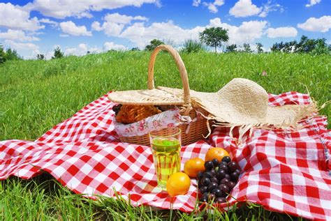 8 Company Picnic Ideas for Oregon