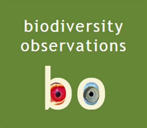 The birds of Fort Fordyce Reserve, Eastern Cape | Biodiversity Observations
