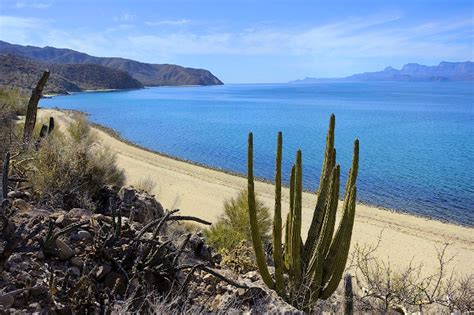 Getting back to nature in Baja California Sur - Lonely Planet