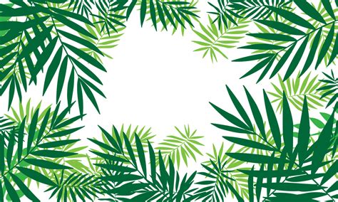 Palm Leaf Border PNGs for Free Download