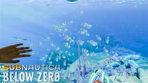 How to get Table Coral Sample Subnautica Below Zero - YouTube