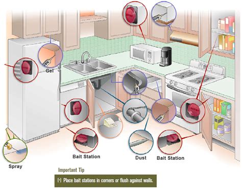 How to Get Rid of Roaches, Indoor Roach Control, Get Rid of Roaches Guide