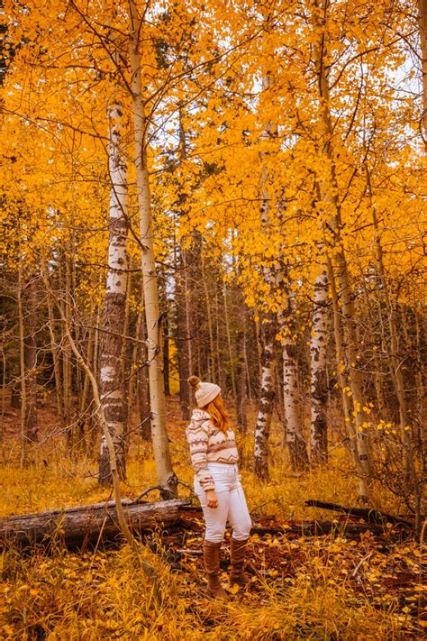 14 Spots To Find Stunning Lake Tahoe & Hope Valley Fall Colors This Autumn