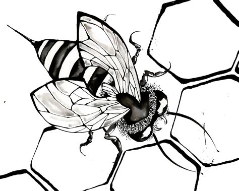 Bee Simple Drawing at GetDrawings | Free download