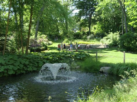 Hidden no more: Glorious Fairfield gardens showcased on sunny Sunday tour