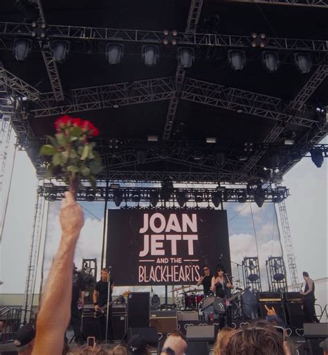 joan jett 🌹 | Joan jett, Concert photography, Blackhearts