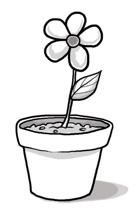 Flower Pot Outline | Free download on ClipArtMag