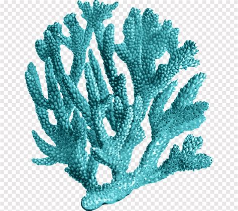 Teal coral poster, Coral reef Printmaking Sea, reef, blue, ocean png | PNGEgg
