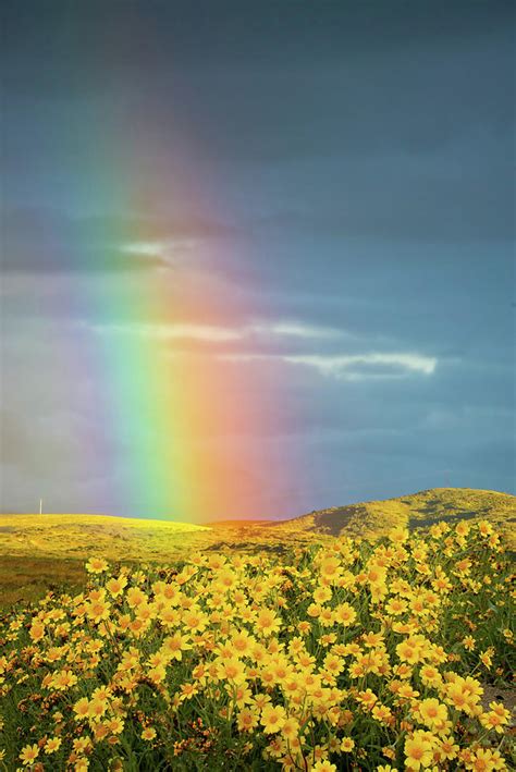 Sunshine and Rainbows on the Carrizo Photograph by Lynn Bauer | Pixels