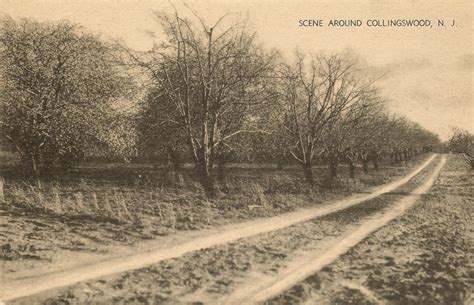 Scene Around Collingswood, NJ (2) [800×515] – Historical Society of ...