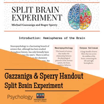 Gazzaniga and Sperry Split Brain Experiment - Psych Handout and Worksheet!