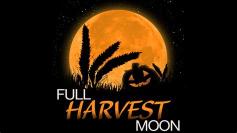 What's unusual about tonight's full Harvest Moon | KTVU FOX 2