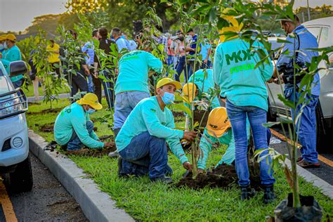 MOP will be in charge of planting 500 thousand trees as part of the Los Chorros project ...