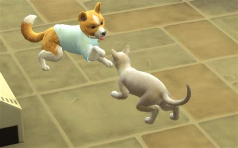 Adopting a Stray! // Sims 4: Cats & Dogs #4 | Sims Amino